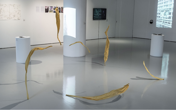 LASALLE gallery installation featuring suspended yellow fabric forms, with videos, drawings and cylindrical displays in the background.